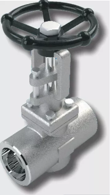 1-1/4" SVF Flow Control 505F Globe Valve, Forged Carbon Steel Body, Socket Weld Ends