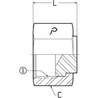 1/4 FEMALE OFS SWIVEL - CAP - STEEL
