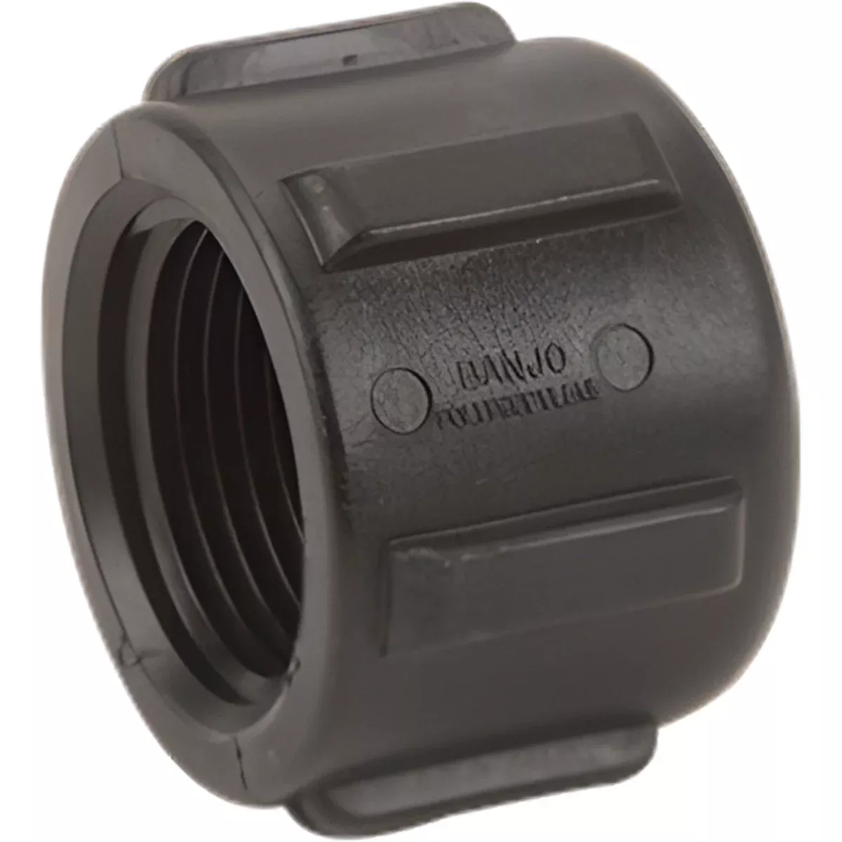 1 INCH FNPTPOLY CAP