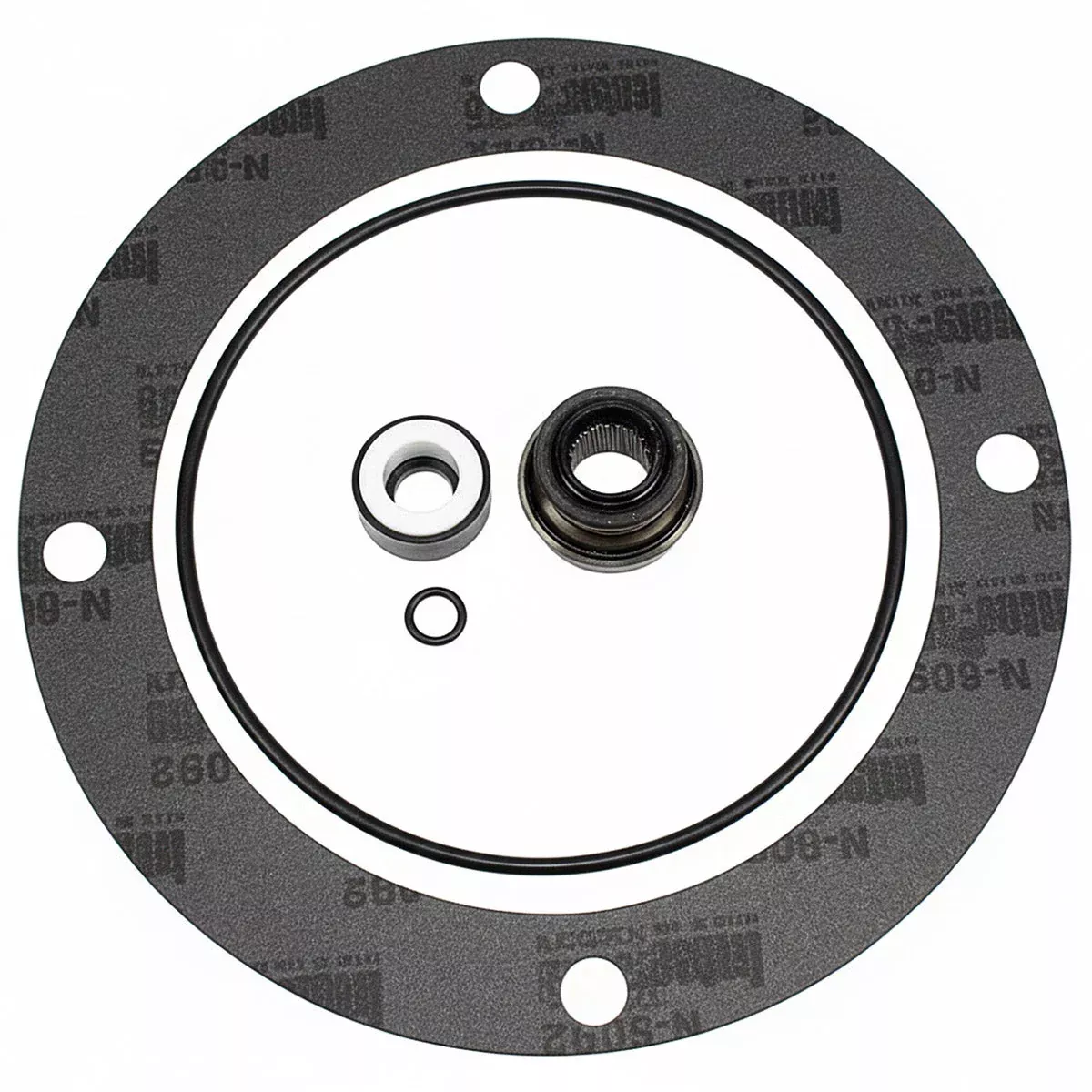 Ace Pump Repair Kit RK-FMC 52700P