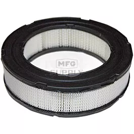 Air Filter replaces Briggs & Stratton 692519