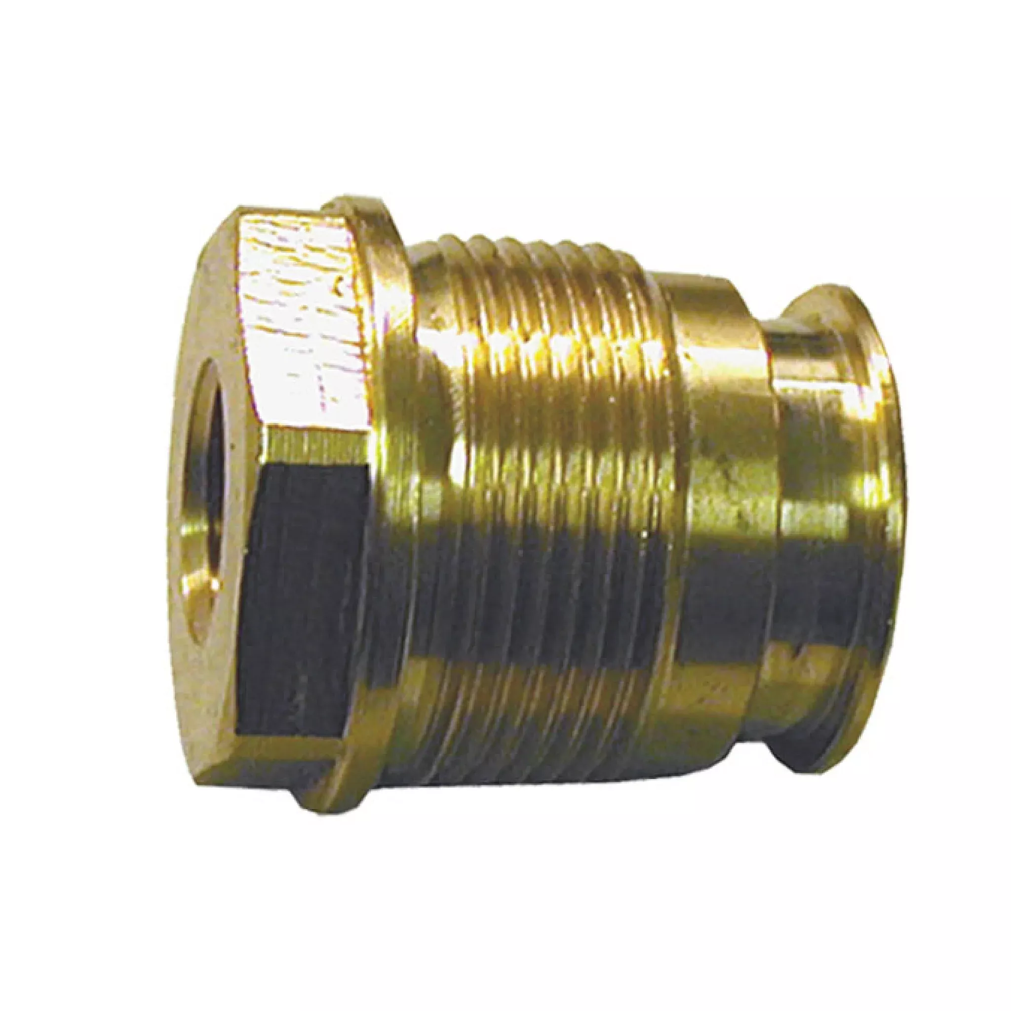 Annovi Reverberi AR1260162T Threaded Valve Cap