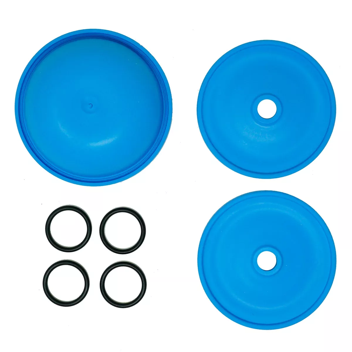 Annovi Reverberi AR43285 BlueFlex Diaphragm Kit