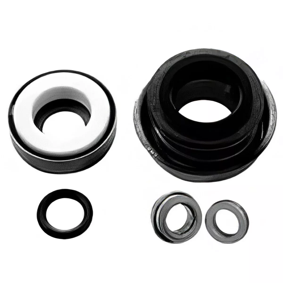Hypro RS200V Viton Shaft Seal for Cast Iron Pumps