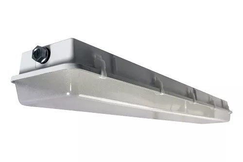 Lithonia DMW232-MVOLT-GEB10IS 4' 2-Lamp Wet-Location Fixture