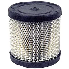 Paper Filter for Briggs & Stratton
