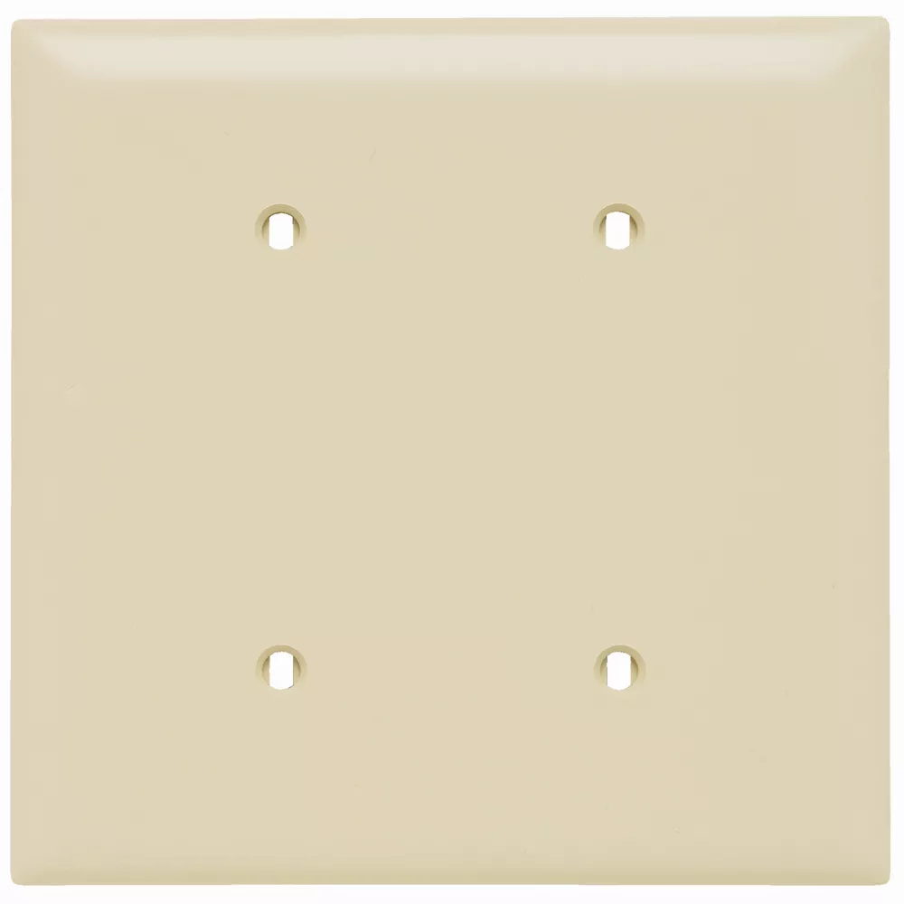 Pass & Seymour TP24-I 2Gang Wall Plate, Blank, Nylon, Standard - Ivory