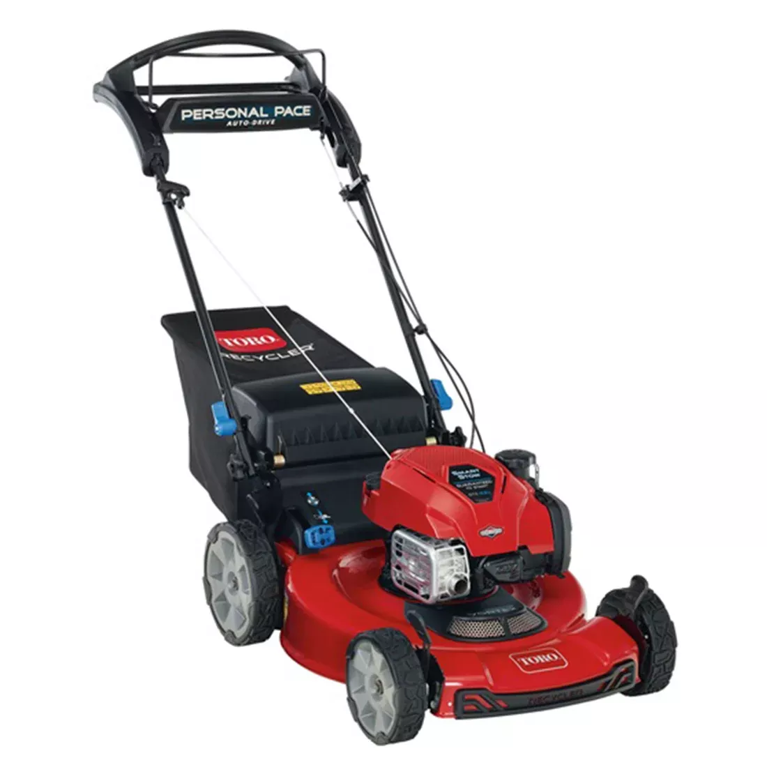 Toro 21465 Recycler 22 In. Walk-Behind Mower