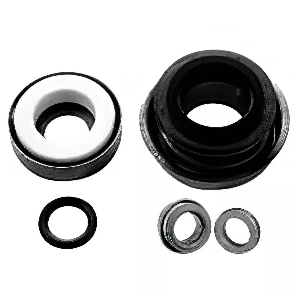 VITON SHAFT SEAL FOR ACE PUMP
