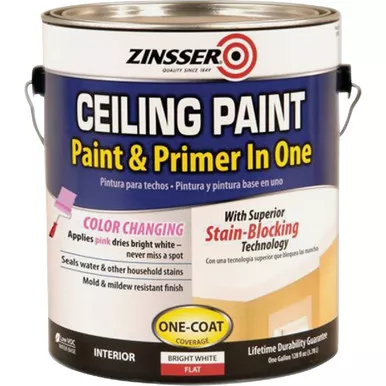 Zinsser Stainblock Ceiling Paint 260967 771017